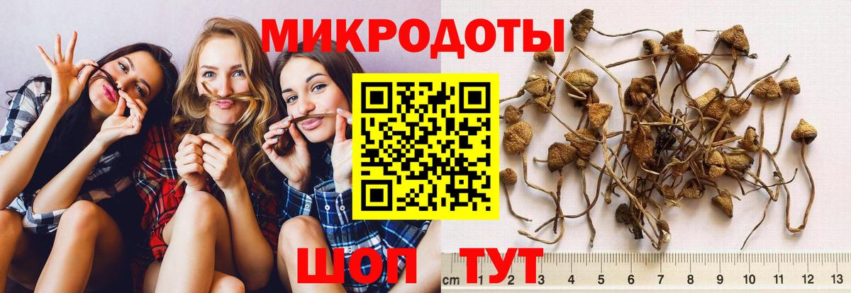 Домодедово  Псилоцибиновые грибы ЛСД  Вход с VPN 